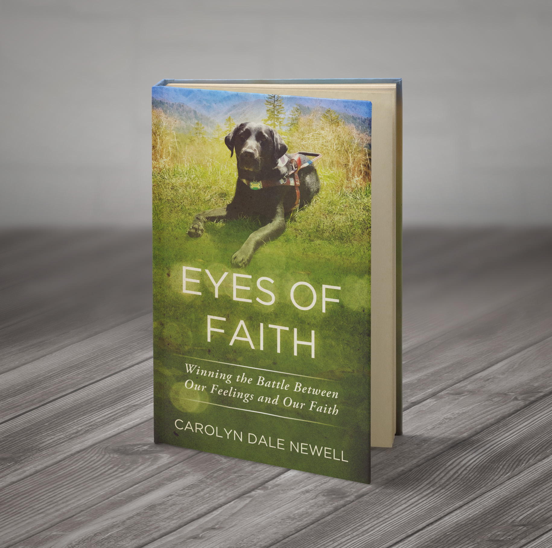Eyes of Faith: Winning the Battle Between Our Feelings and Our Faith - AMountainOfFaith.com